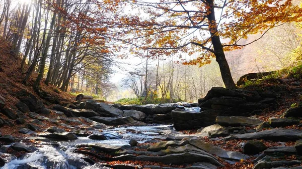 Το ποτάμι του βουνού στο δάσος του φθινοπώρου σε καταπληκτική ηλιόλουστη μέρα — Φωτογραφία Αρχείου