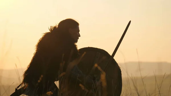 Sziluettek Viking harcosok harcolnak a kard és a pajzsok. Contre-jour — Stock Fotó
