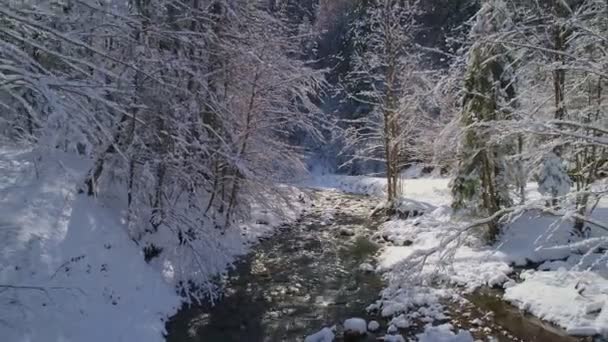 Vista aérea. Mountain River fluindo através de uma pitoresca floresta coberta de neve. — Vídeo de Stock