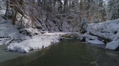 Etrafı karla kaplı ağaçlarla çevrili sakin bir dağ nehri boyunca hava manzarası