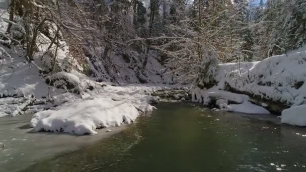 Vista aérea ao longo de um rio serrano cercado por árvores mágicas cobertas de neve — Vídeo de Stock