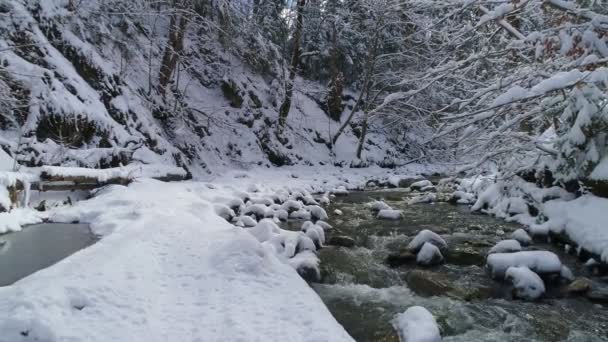 Vista aérea ao longo de um rio serrano cercado por árvores mágicas cobertas de neve — Vídeo de Stock