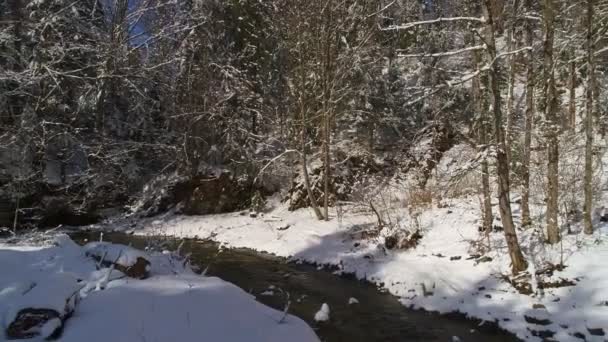 Widok z lotu ptaka Wzdłuż spokojnej górskiej rzeki otoczonej magicznymi, pokrytymi śniegiem drzewami — Wideo stockowe