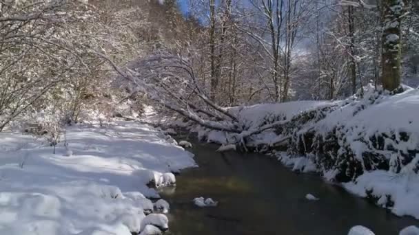 Uitzicht vanuit de lucht Winter Landschap van een Crystal Clear Mountain River in een sprookjesbos — Stockvideo