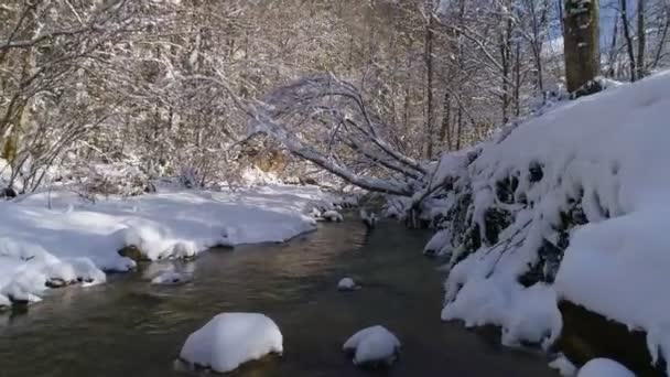 Vista aérea Paisagem de inverno de um rio de montanha cristalino em uma floresta de fadas — Vídeo de Stock