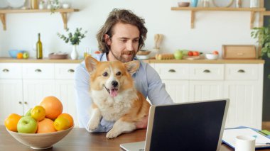 Evden bilgisayarla çalışan çekici bir adam. Tüylü Genç Adam Uzaktan Çalışırken Masada Oturuyor ve Kollarında Şirin Bir Köpek Tutuyor