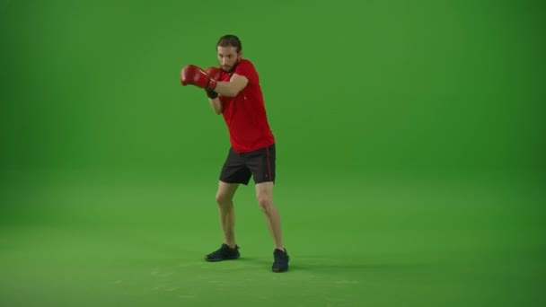 Young Motivated Bearded Fighter Doing Boxing Exercises While Wearing Sportswear — Αρχείο Βίντεο