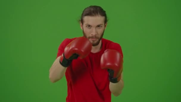 Retrato Jovem Homem Barbudo Motivado Fazendo Exercícios Boxe Luvas Combate — Vídeo de Stock