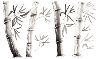 El çizimi bambu sapları ve yapraklar beyaz arka planda izole edilmiş. Japon folklor stilinde tek renkli çiçek çizimi Sumi-e