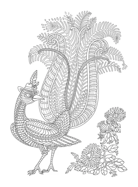 Διάνυσμα Φαντασία Περίτεχνο Lyrebird Στη Ζούγκλα Πάθος Λουλούδι Φύλλα Ευκαλύπτου — Διανυσματικό Αρχείο