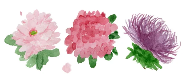 Akvarel Ilustrace Roztomilé Růžové Fialové Pivoňkové Květy Listy Nastavit Izolované — Stock fotografie