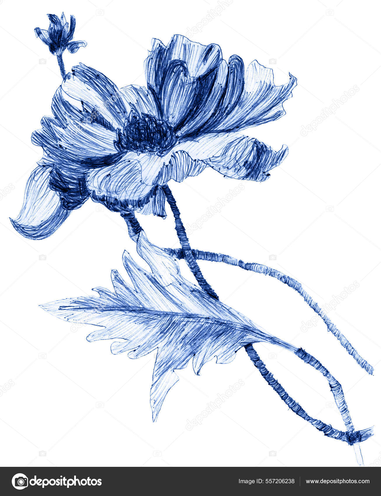 Flower Sketch by ksaison on Dribbble