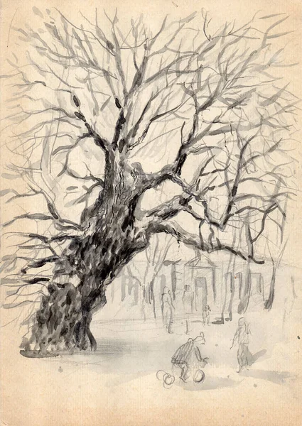 Vintage Ink Pen Drawing Beige Aged Paper Old Linden Tree — стоковое фото