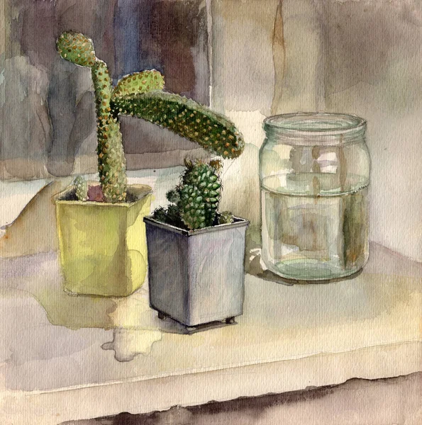 Watercolor Vintage Still Life Painting Plastic Flowerpots Cactus Succulents Glass — Stockfoto
