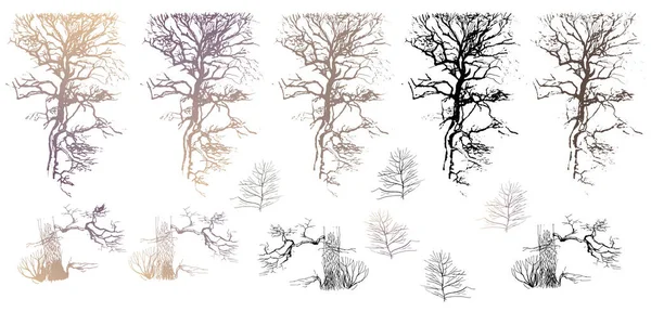 Dense Branches Old Tree Forest Set Vector Tree Silhouettes Auto — Stock vektor