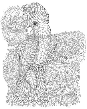Fairy tale cockatoo parrot bird and fantasy jungle flowers, branches, leaves. Black  and White Coloring book page 