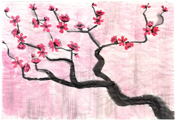 Orientální Novoroční Přání Čínské Švestkové Květy Kvetoucí Větev Japonském Tradičním — Stock fotografie