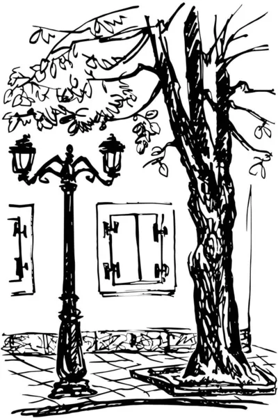 Bucată Stradă Copac Stâlp Lampă Fereastră Obloane Închise Schiță Alb — Vector de stoc