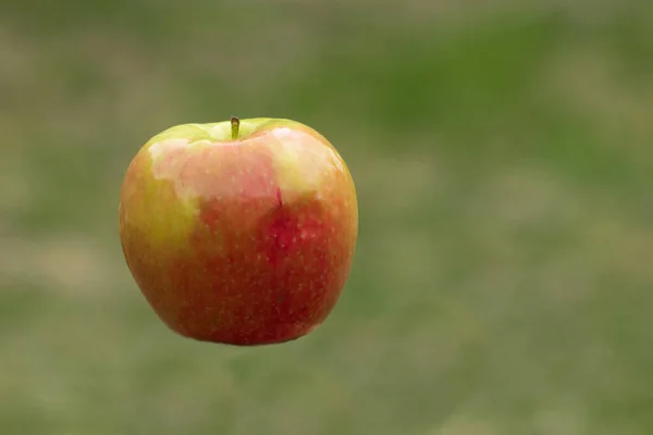 Pomme Rouge Jaune Dans Air Sur Fond Vert — Photo