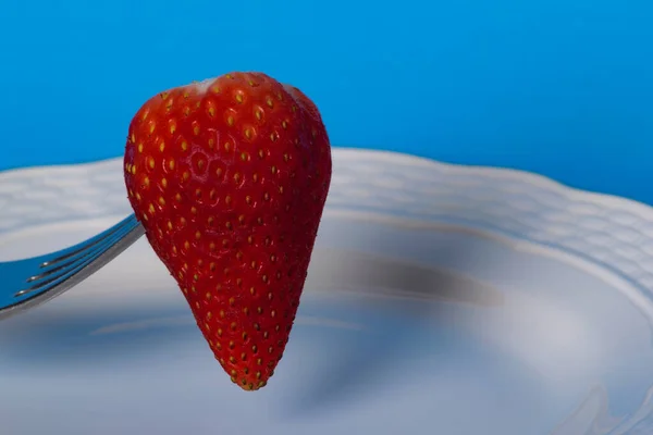 Fragola Tenuta Forchetta Piatto Bianco Con Fondo Azzurro — Foto Stock