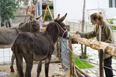 Uzun sarı saçlı genç bir adam bir eşeği havuçla besliyor.