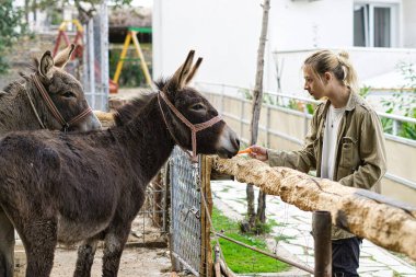 Uzun sarı saçlı genç bir adam bir eşeği havuçla besliyor.