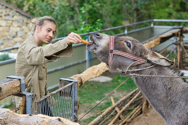 Uzun sarı saçlı genç bir adam bir eşeği havuçla besliyor.
