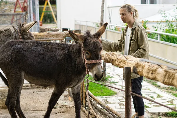 Uzun sarı saçlı, eşeği besleyen genç bir adam.