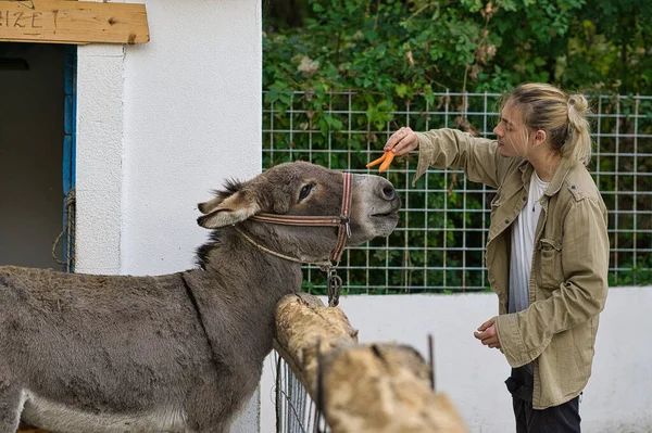 Uzun sarı saçlı genç bir adam bir eşeği havuçla besliyor.