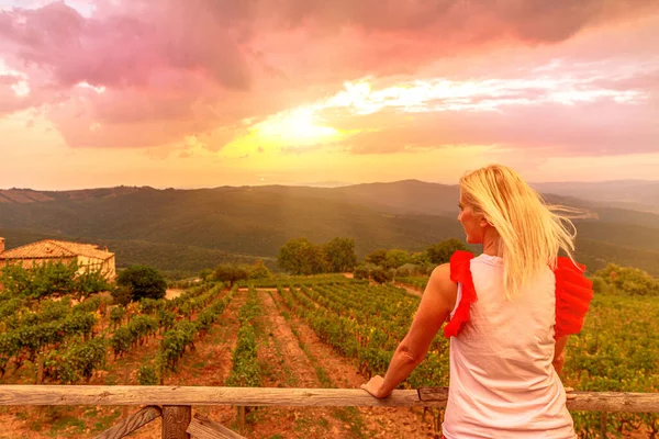 Wijngaarden van Montalcino dorp bij zonsondergang — Stockfoto
