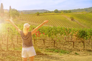 İtalya 'da Montalcino' nun teraslı üzüm bağları