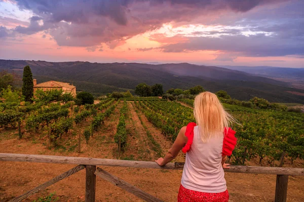 Wijngaarden van Montalcino dorp bij zonsondergang — Stockfoto