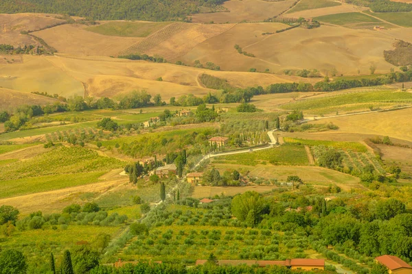 Wijngaarden van Toscaans-Emiliaanse apennijnen — Stockfoto