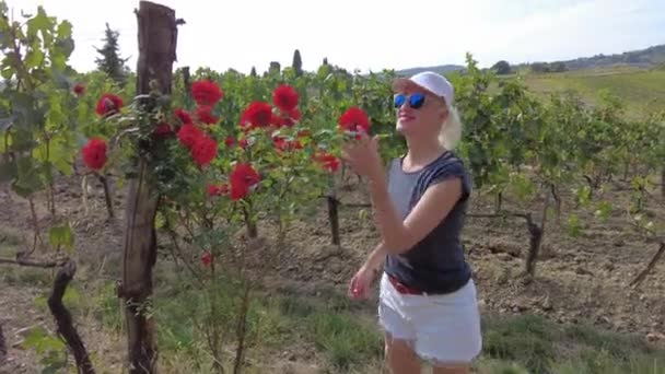 Terrasserade vingårdar i Montalcino i Italien — Stockvideo