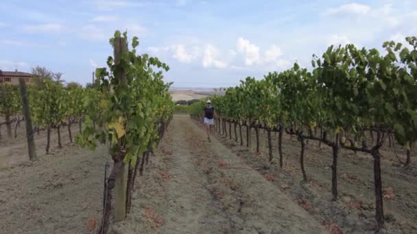 Viñedos de viticultura Toscana — Vídeo de stock