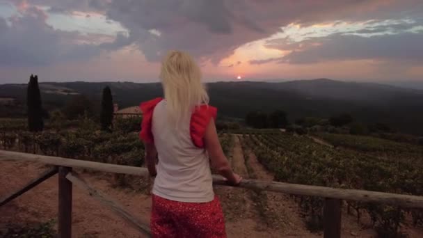 Vinodlingar i byn Montalcino vid solnedgången — Stockvideo