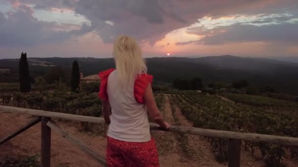 Vigneti di Montalcino paese al tramonto — Video Stock