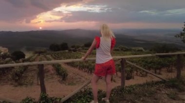 Tuscany 'de günbatımında şarap mahzenleri