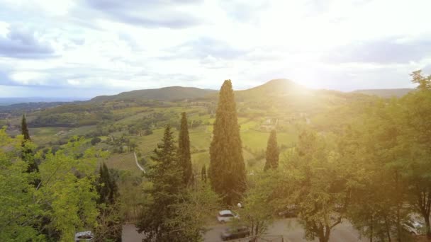 Wijngaarden van Montepulciano in Toscane — Stockvideo