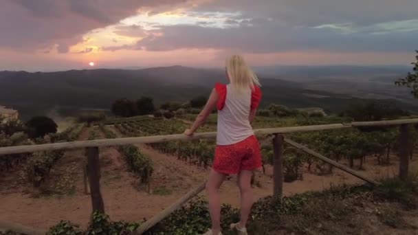 Vinodlingar med vinodling Toscana solnedgång — Stockvideo