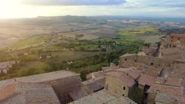 Vinhas de viticultura na Toscana — Vídeo de Stock