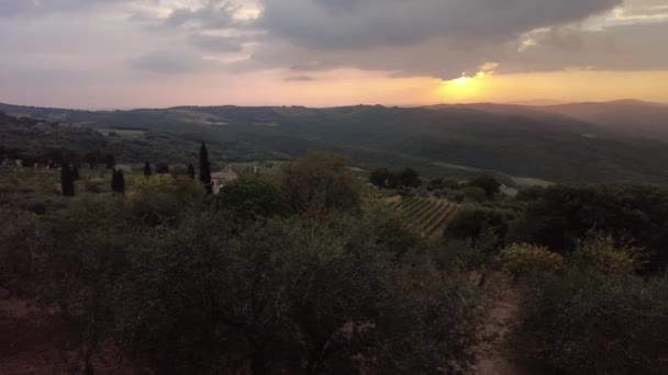 Vingårdar av Toscana i Italien — Stockvideo