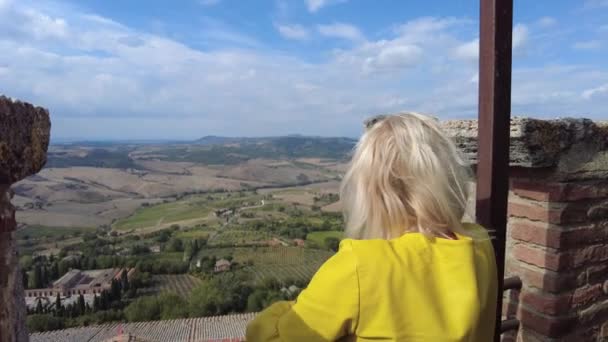 Solnedgång på vingårdar i Montepulciano — Stockvideo
