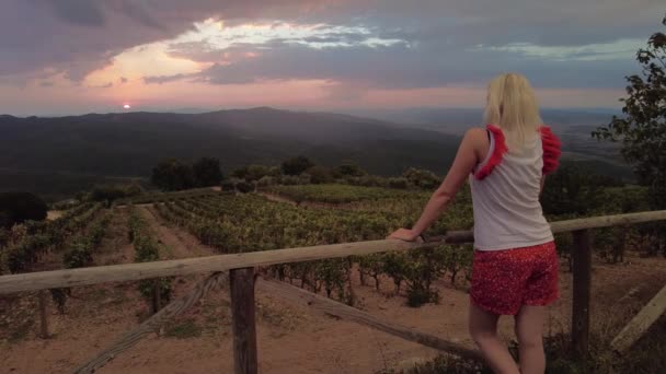 Weinberge des Dorfes Montalcino bei Sonnenuntergang — Stockvideo