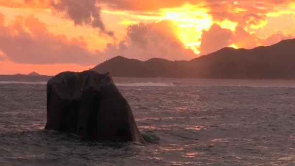 La Digue Sunset — Stock Video