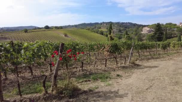 Vineyards of Tuscan-Emilian apennines — Stock Video