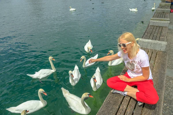 Woman with swans in Zurich lake — Stock Photo, Image