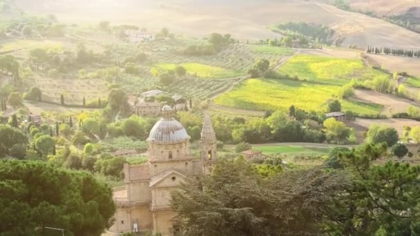 Wijngaarden van Toscane — Stockvideo