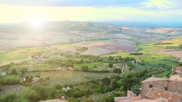 Tuscany 'deki Montepulciano köyünün üzüm bağları — Stok video