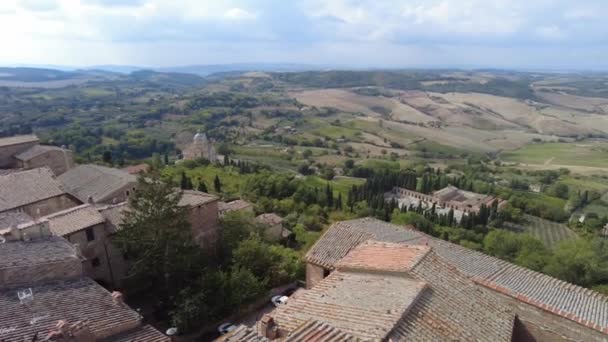 Vinhas de viticultura Toscana — Vídeo de Stock